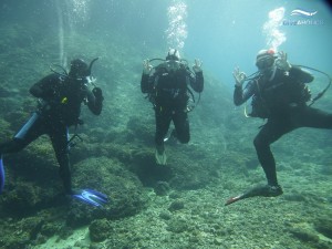 Drei Taucher posieren unter Wasser vor der Kamera